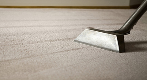 carpet cleaning